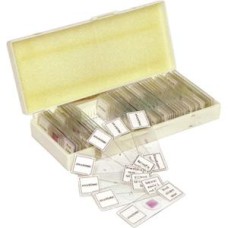 Lâminas Para Microscópio